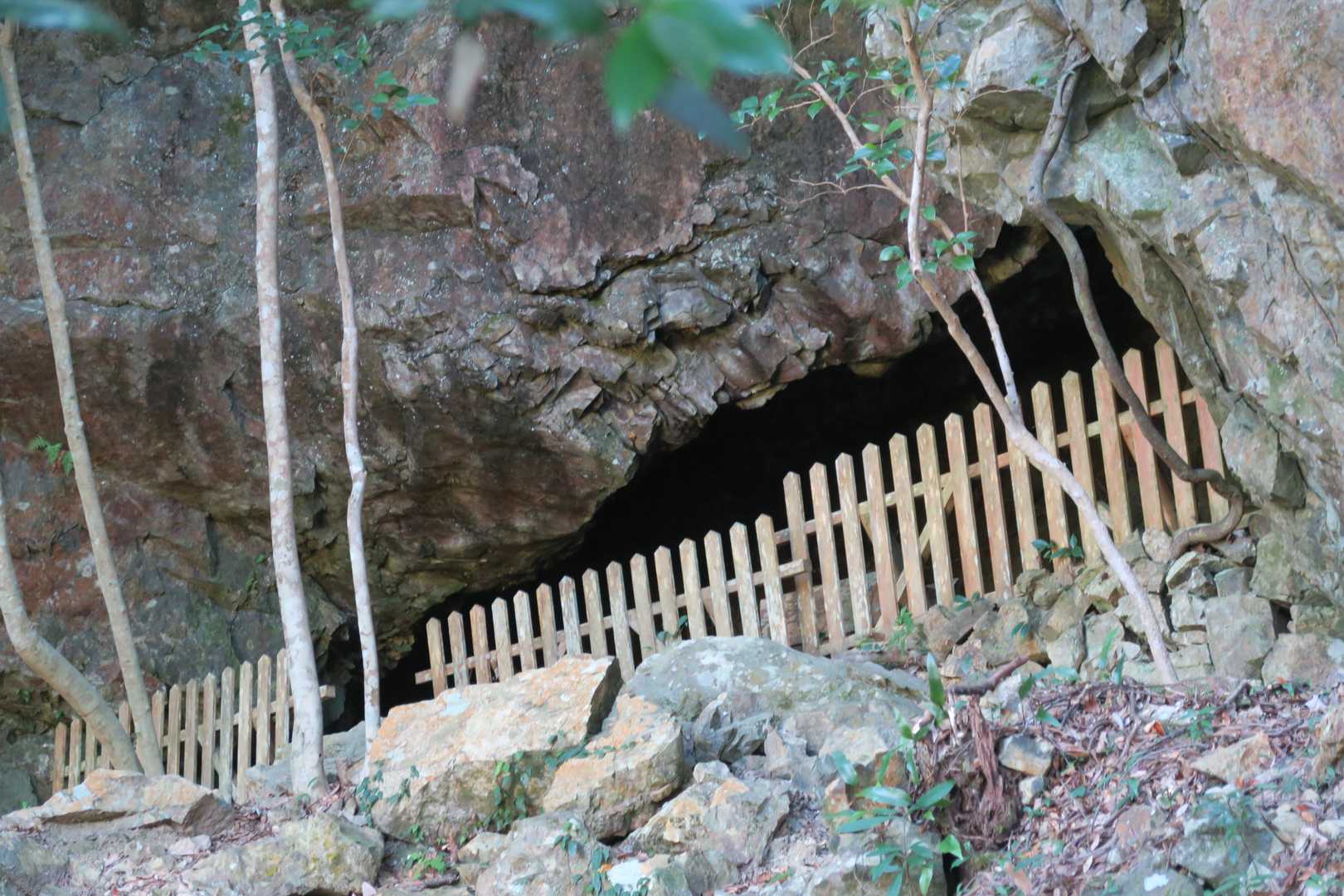 真妻山 周回コースの写真