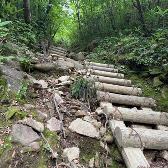 ずーっとラクラク登山なはずがない🤭