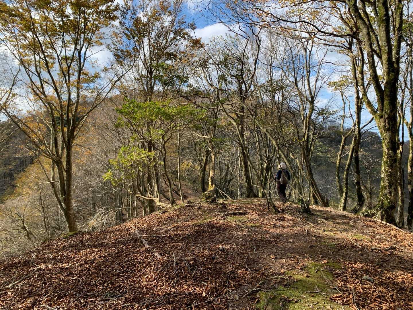 与助谷山に向けて、あとひと踏ん張り。