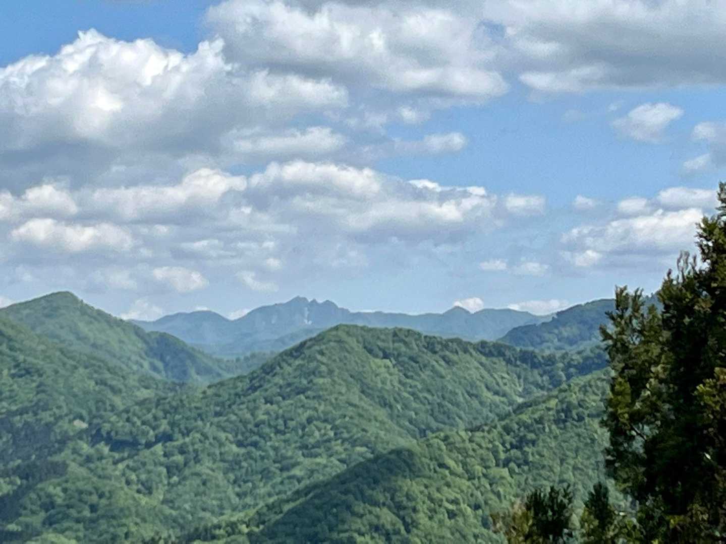 林道からの摩耶山