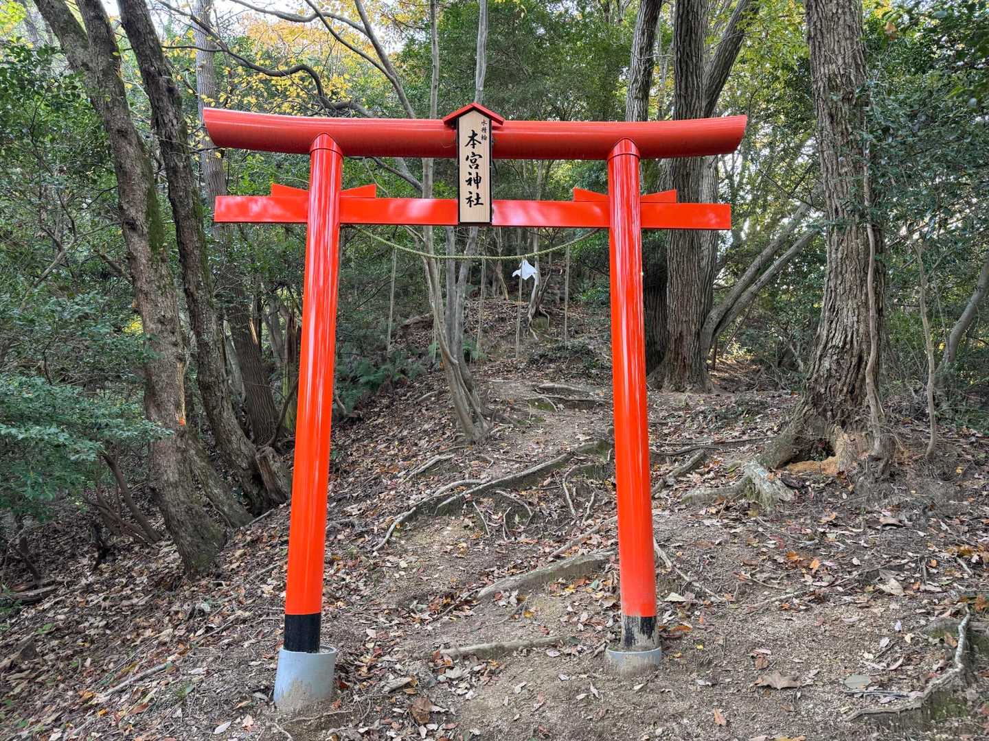 山頂少し前の鳥居
まだ新しいです。