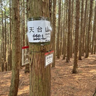 天台山 頂上