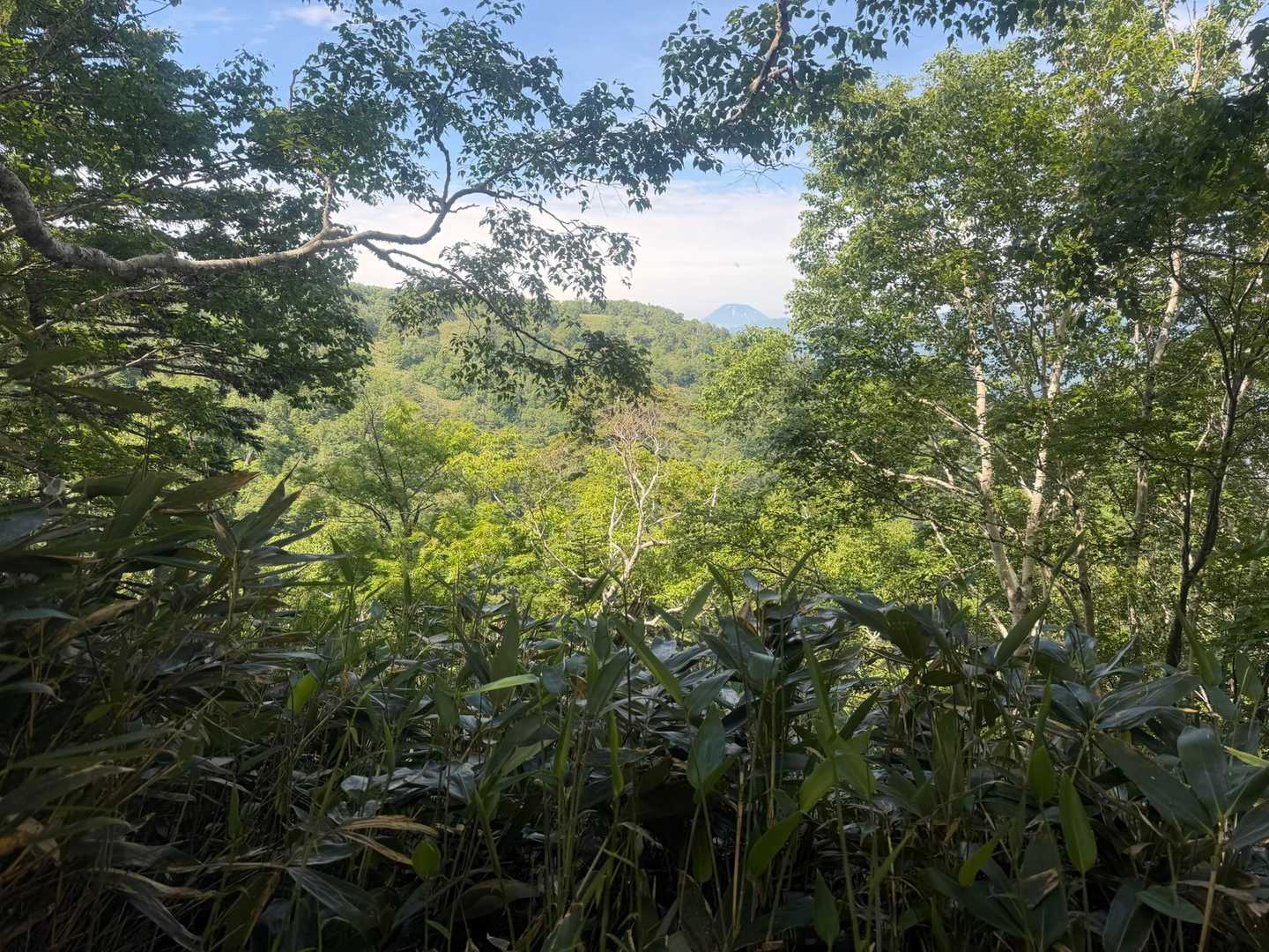 お！羊蹄山！