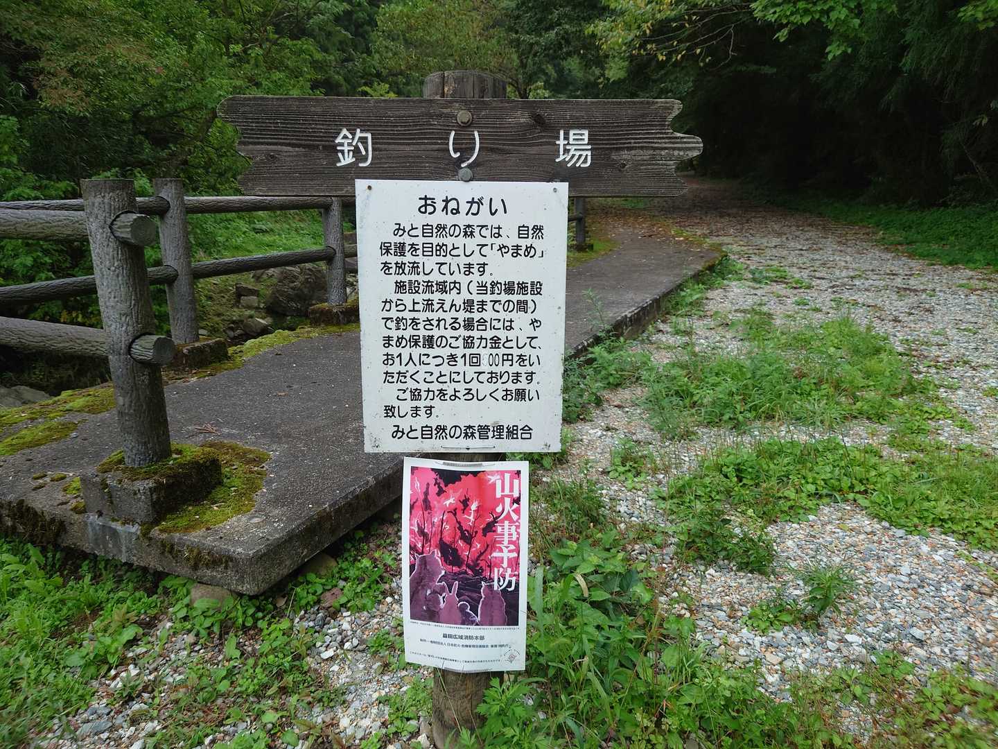 ５００円で渓流釣りできるんだ！