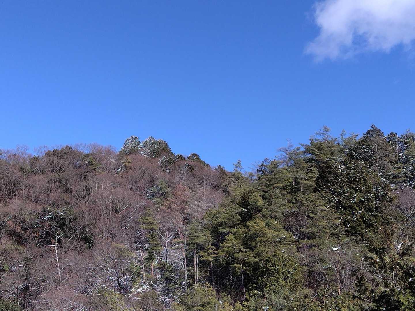 先程下りてきた高木山方面を振り返り
なかなかＶ字の登り返しでキツイですが面白いです👍
