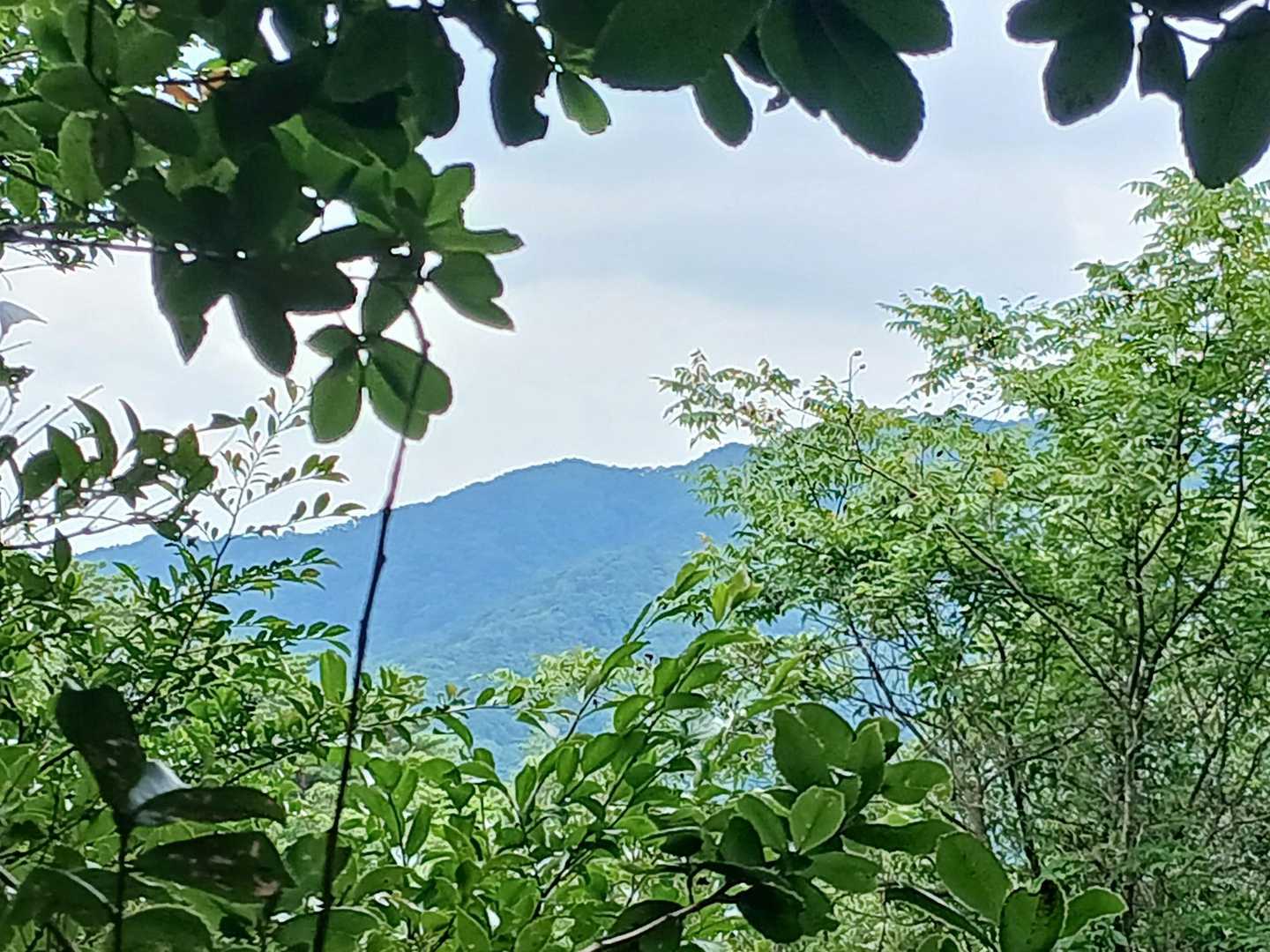 向こうは雲山峰の尾根ですね〜🎶