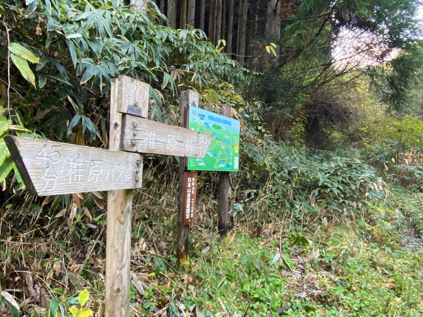 椎原登山口に到着。
ここから本格的な登山道に。