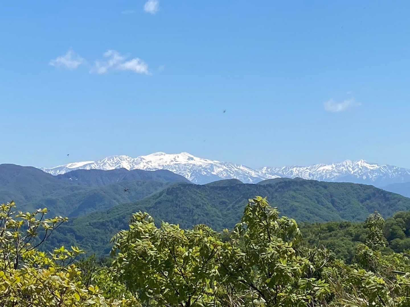 白山キレイにみえる✨