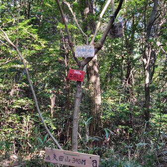 矢田寺からだいぶ離れて矢田山