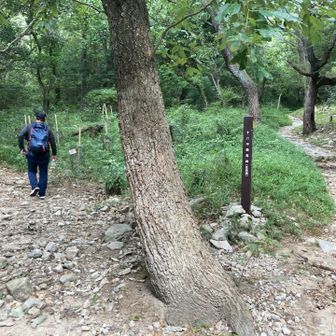 六甲最高峰へは行かず、左へ