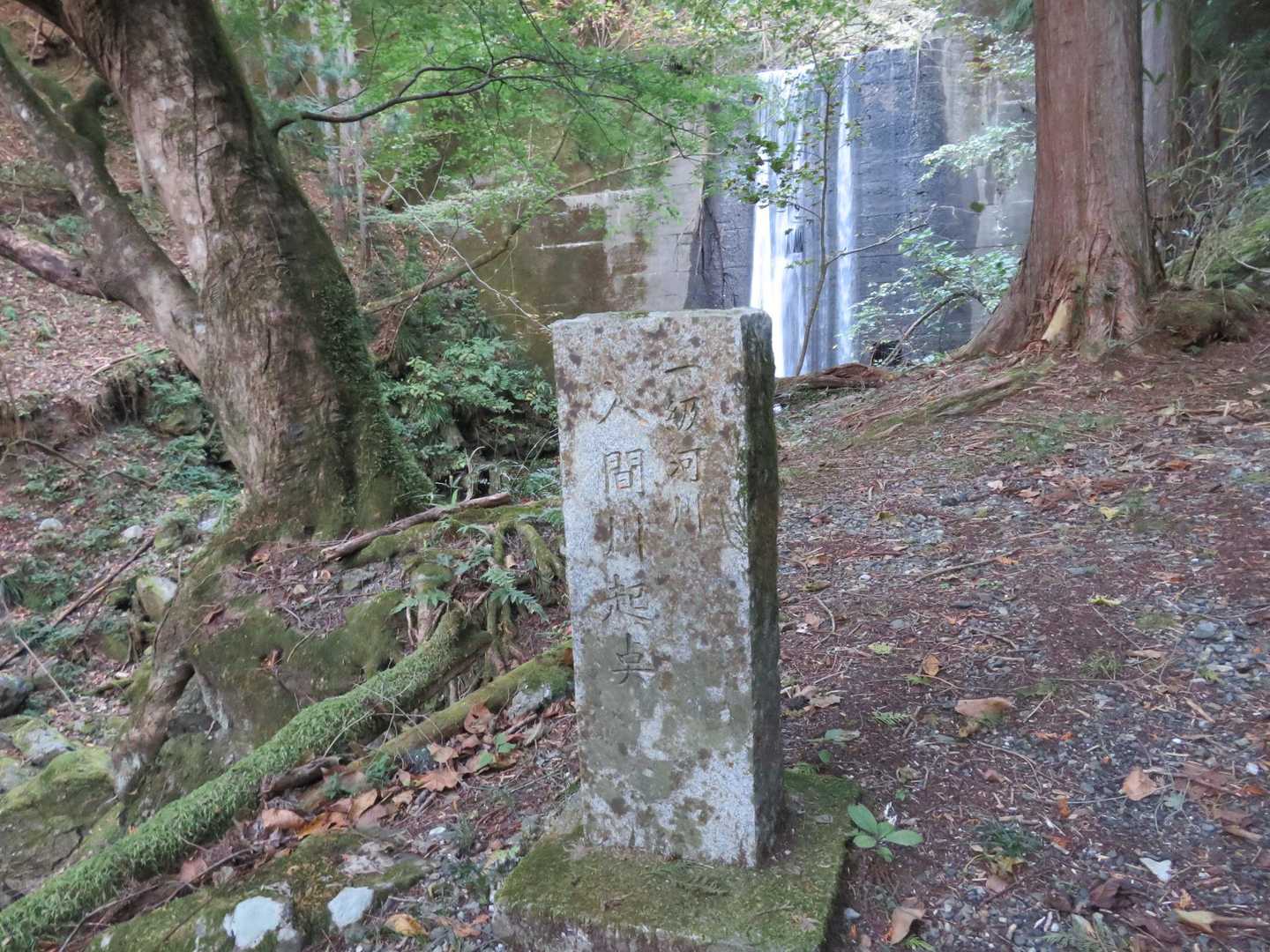 「入間川源流の碑」がありました。大持山を源とする入間川です。