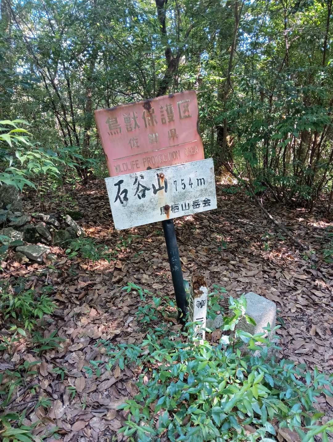 展望なしの山頂でした😅