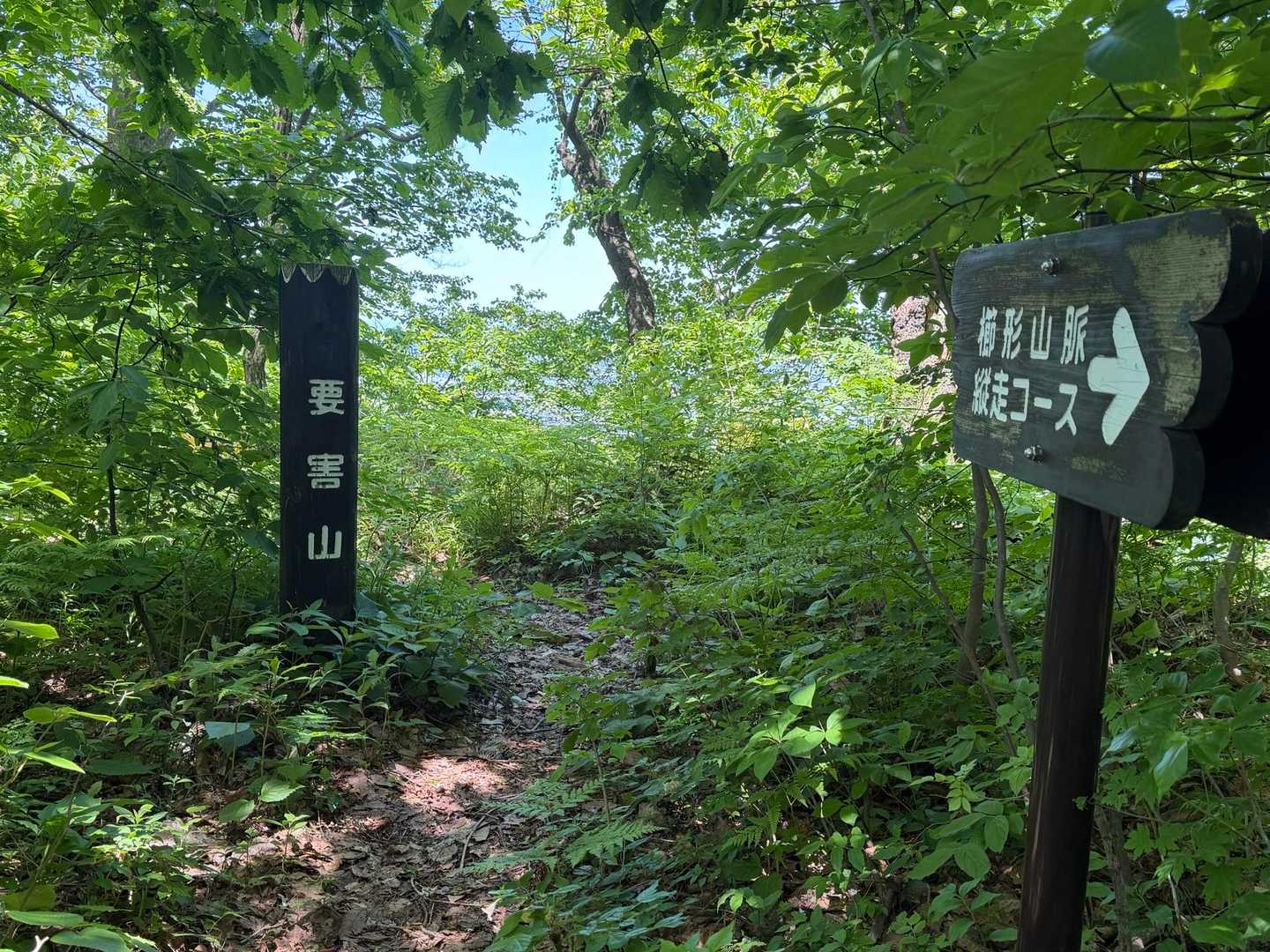要害山
眺望はありません
ここから先は長い急登が続きました💦