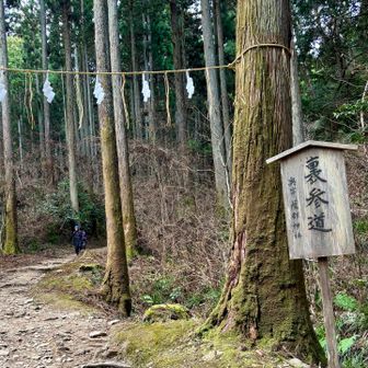 裏参道より下山😊