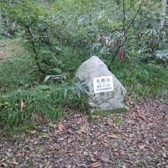 登山口