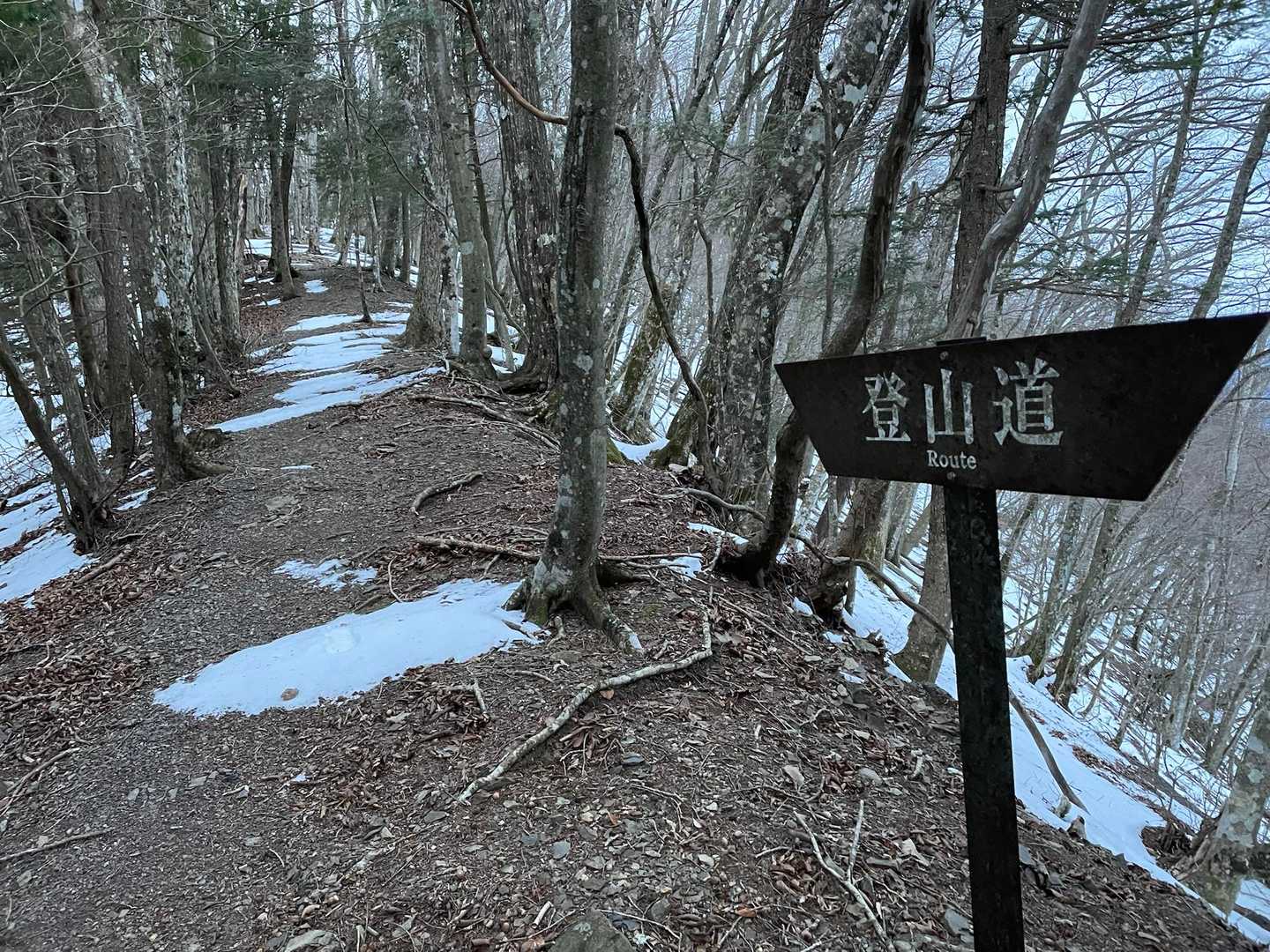 登山道。ここで待つ