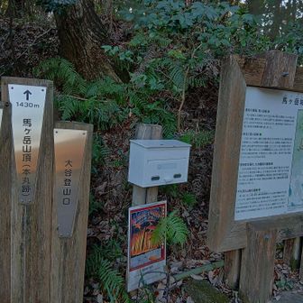 もう4時半やぁ～