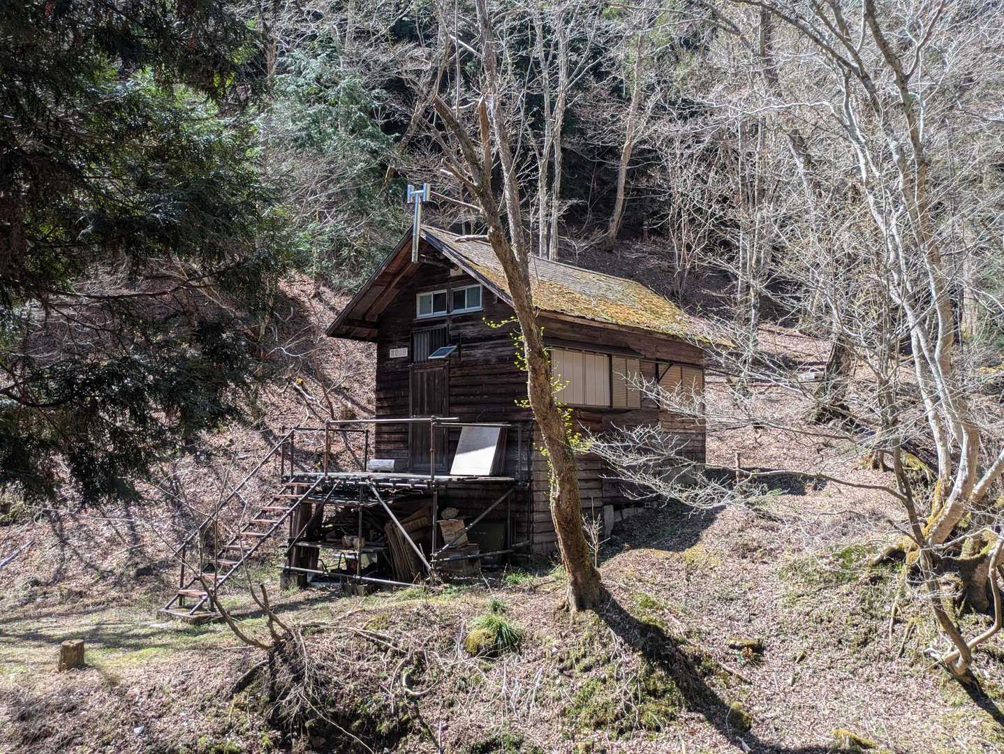 花脊高原前バス停-雲取峠-雲取山 往復コースの写真