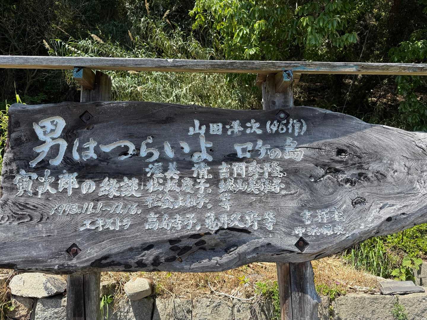 観てみよう