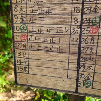 ２５人が記入