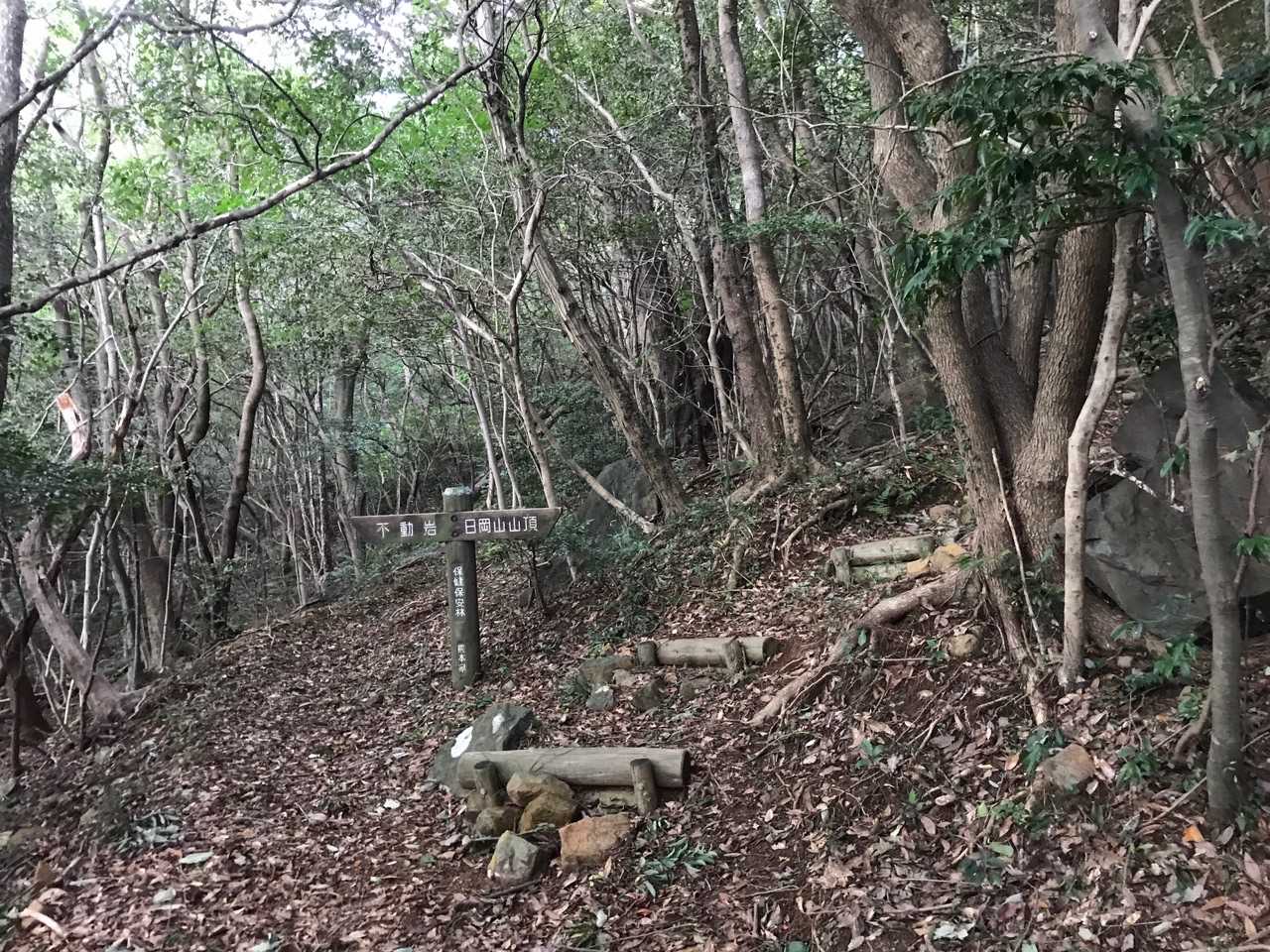 何か今日は歩きながら身体のバランスが悪いのを感じます。