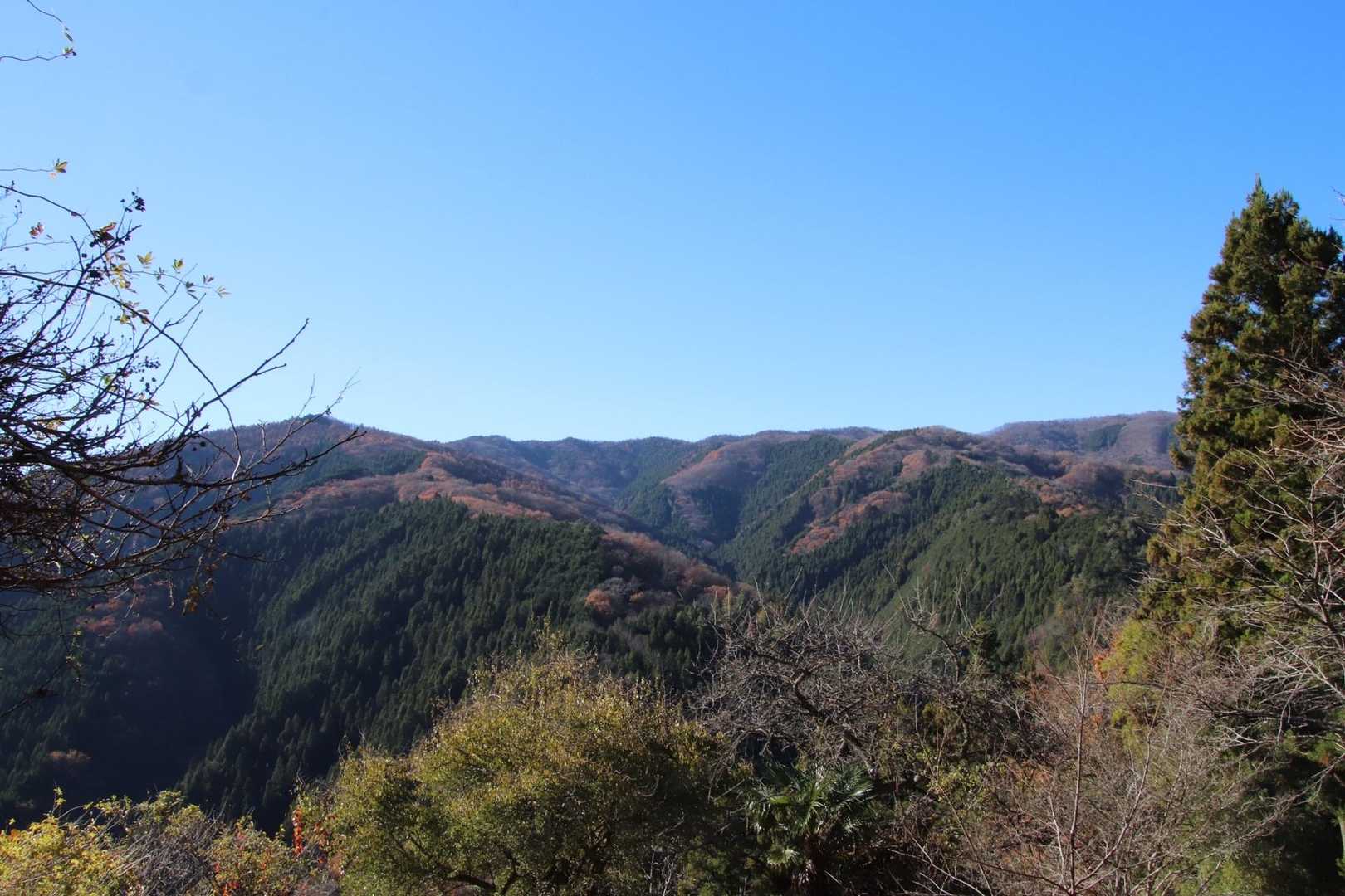上川乗バス停-浅間嶺-人里峠-浅間尾根登山口バス停 縦走コースの写真