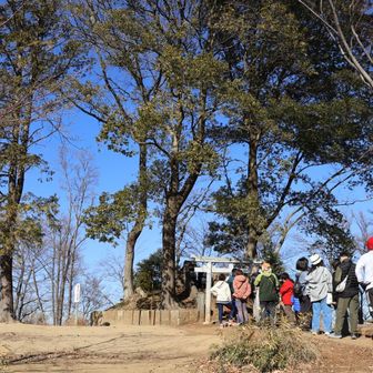 浅間神社
初詣の行列、並んでお参り🙏