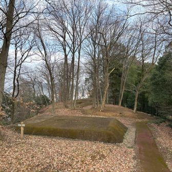 上から見ると古墳なのがよく分かる(*'▽'*)
これだけ古墳が密集してるのもすごいなー