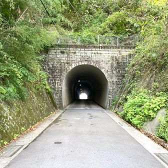 天狗岩から階段を下る。舗装道路とトンネルが出現する。このトンネルがきれいだったので、先に進む。トンネルの先で、頭部の山道に合流できると期待した。しかしながら、頭部登山口の標識はない。そのまま進んだ。結果、下山することになった。とほほ。