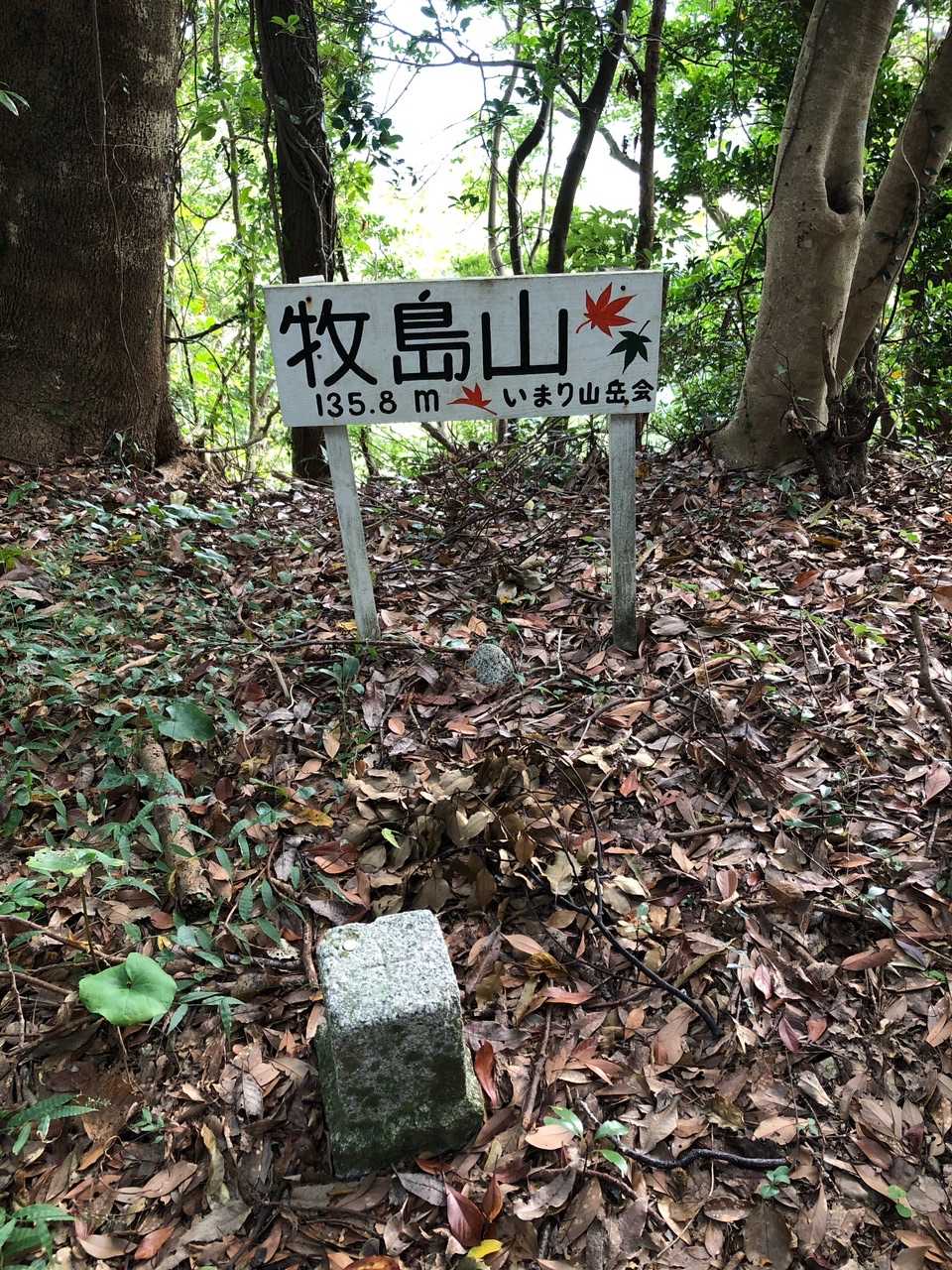 山頂！
