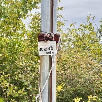 北西峰。曇ってるから遠くは見えない