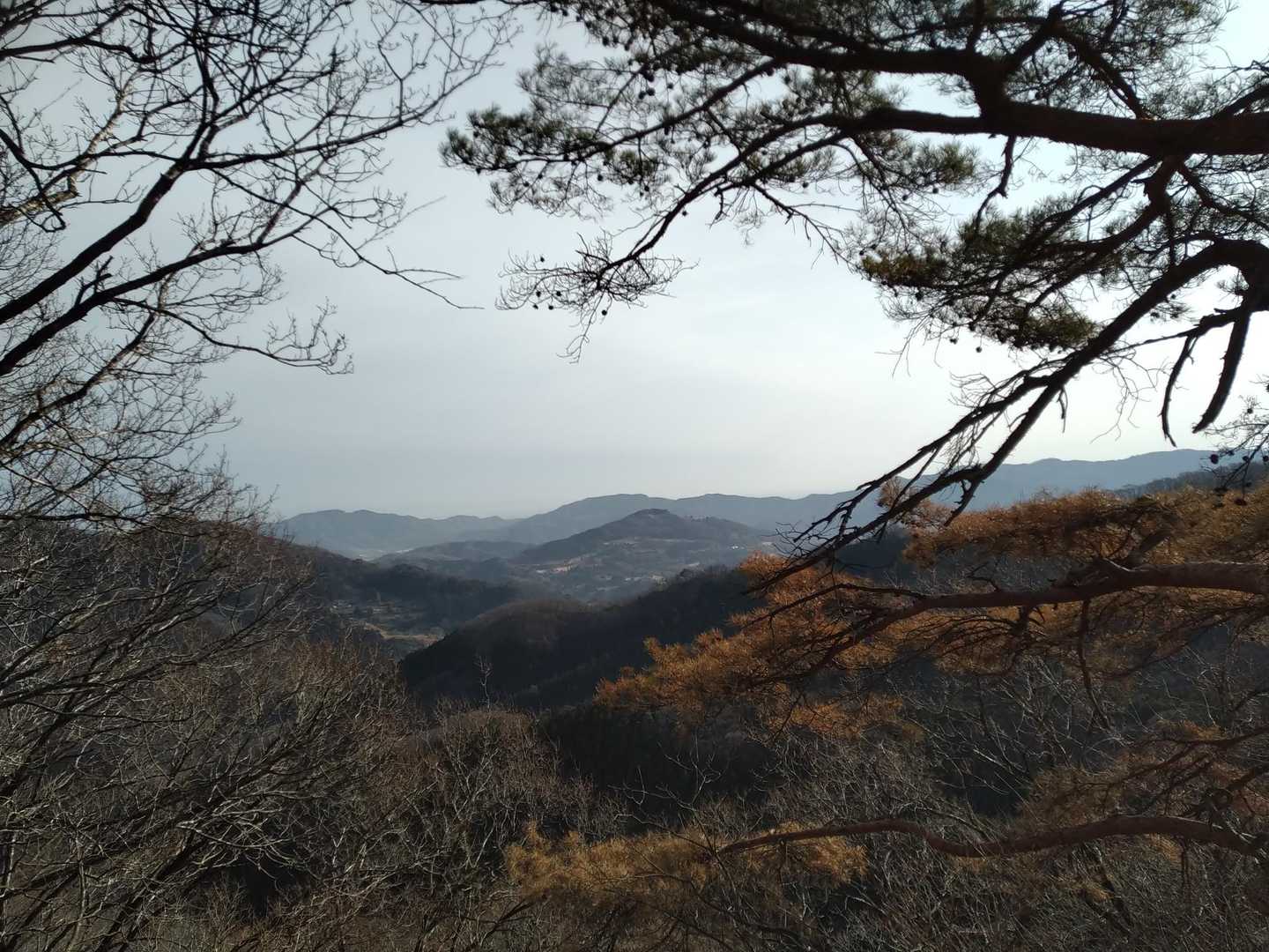秩父華巌前バス停-大前山-札立峠-破風山-礼所前バス停 周回コースの写真
