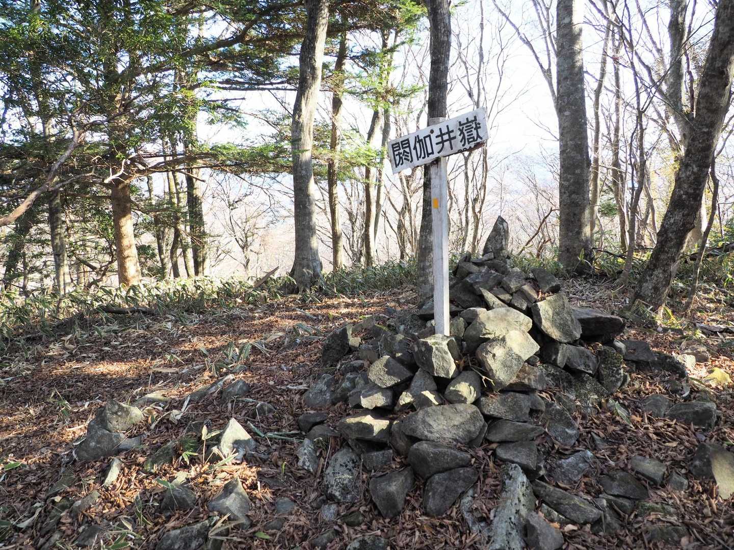 T字路から約20分で閼伽井獄山頂に到着。