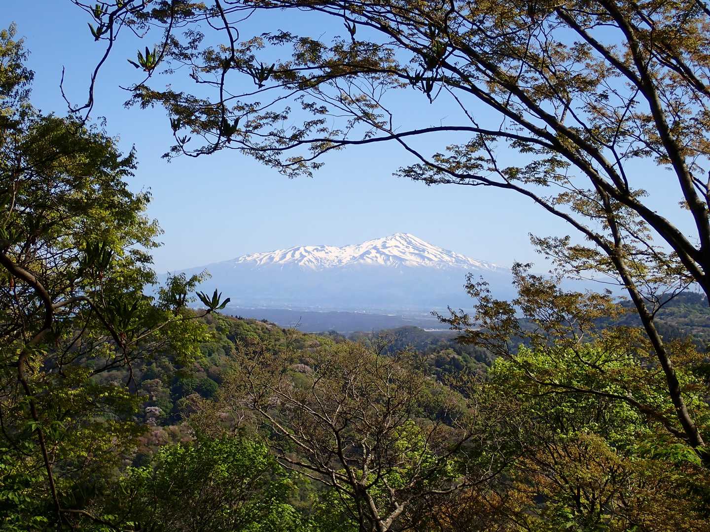 やっぱスゲェ👍鳥海🗻