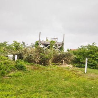 山頂です。