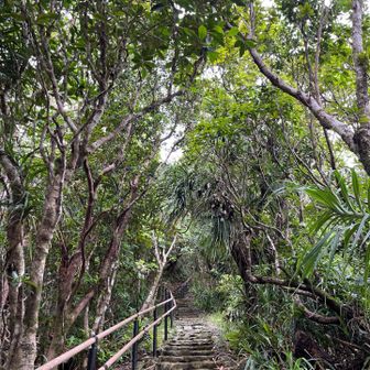 階段が整備されている