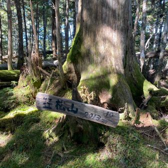 笠松山