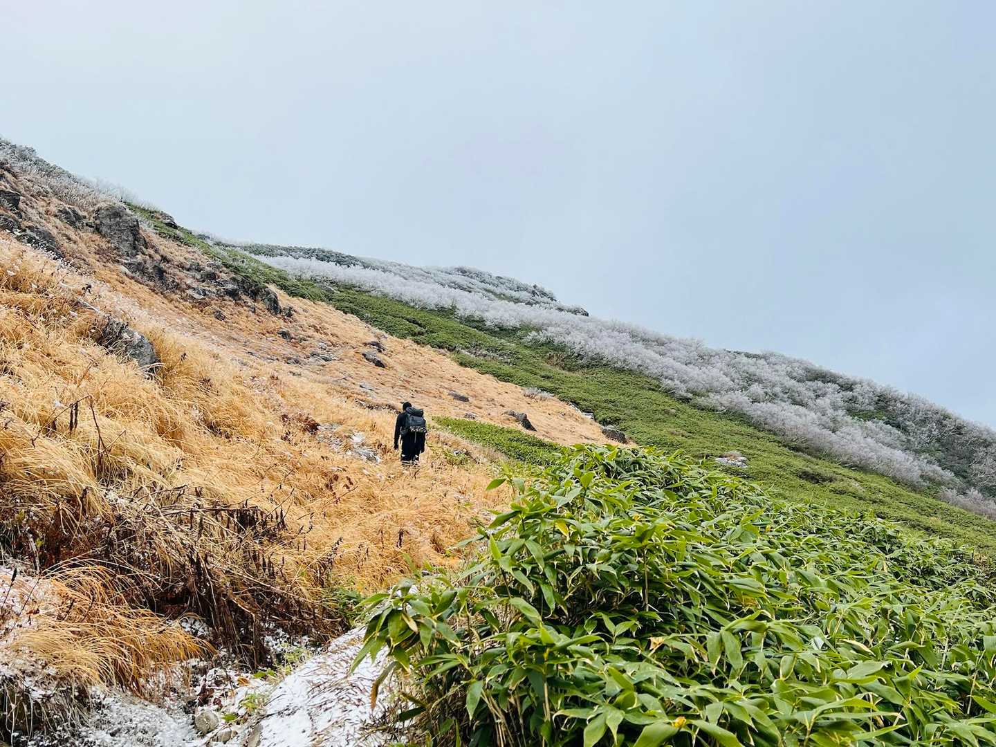 千走登山口-南狩場山-狩場山-前山 往復コースの写真
