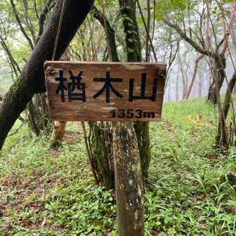さんちょー②   