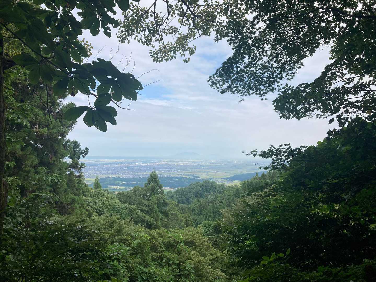 三ノ峠山 周回コースの写真