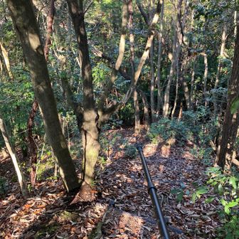 片道3分とはいえ、下りは気をつけます。