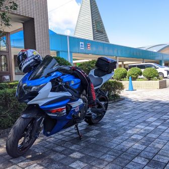 GS子ちゃん(ジスコちゃん)