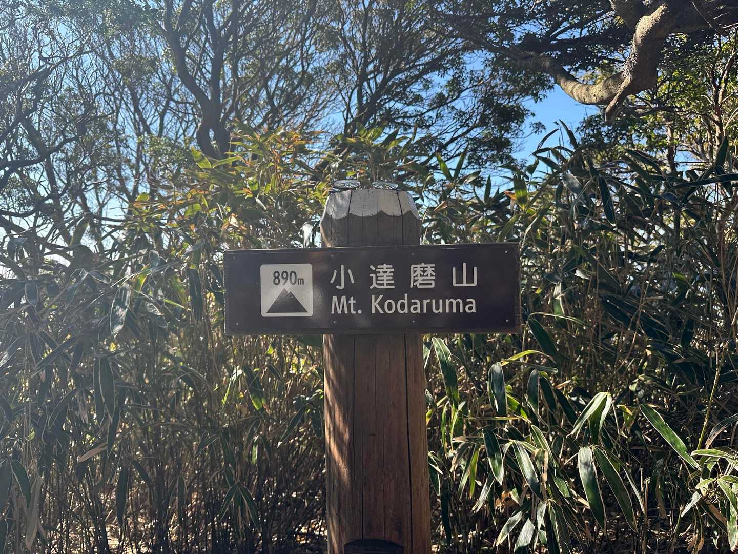 達磨山に行く手前で小達磨山通過🐾
この先が本命の達磨山だ⛰️

だがしかし😰
階段に続く階段・・・
カラダが思うように動かない😰
やっぱりこれ以上は無理かもしれない💧
ここでリタイヤだ😭😭😭

達磨山はお見送り👋😭

