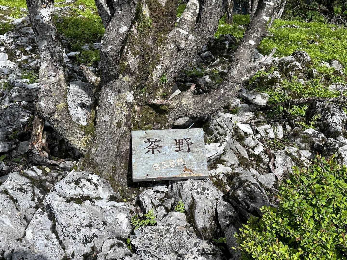 初めて登るお山
