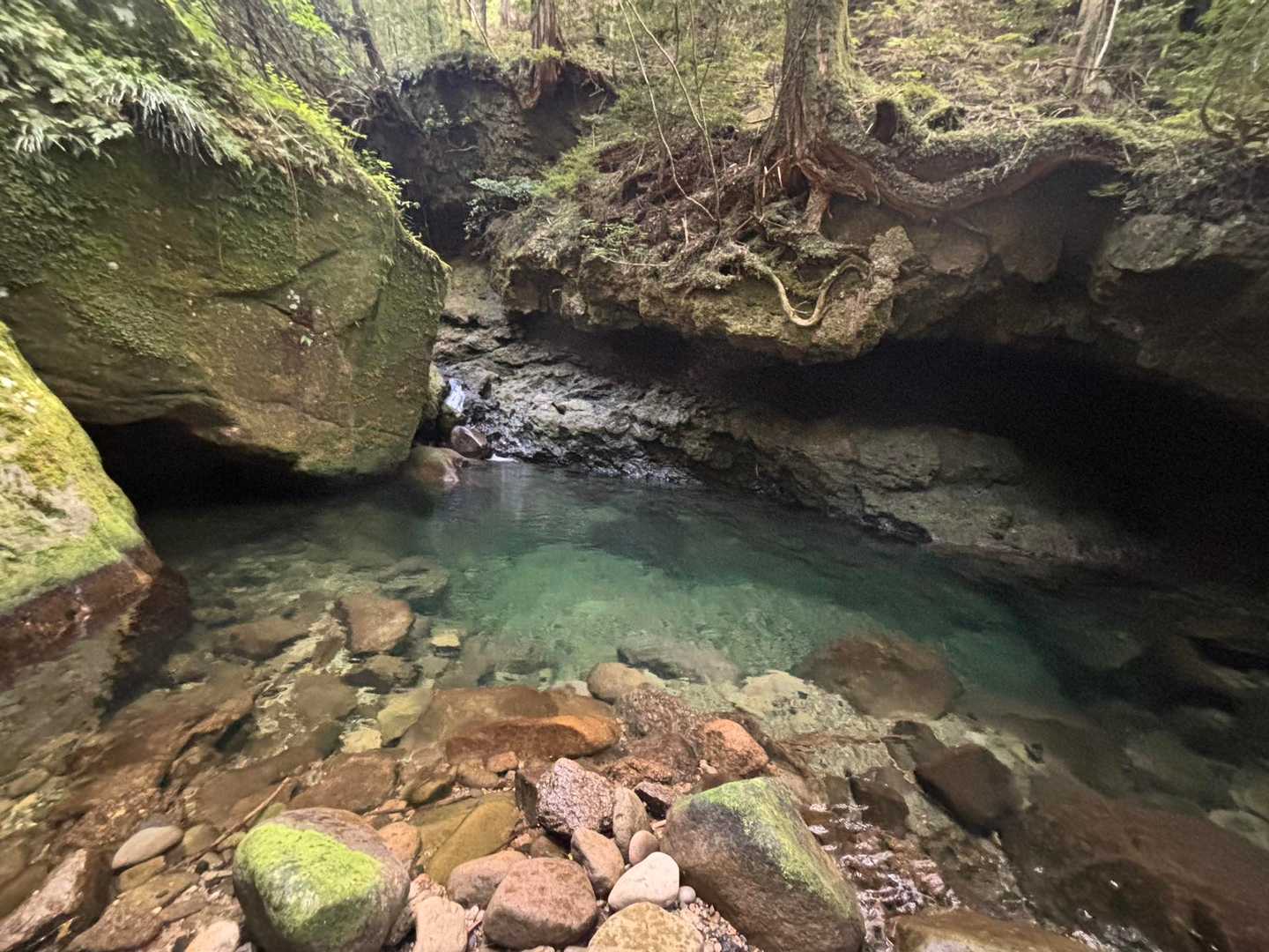 百間山 周回コースの写真