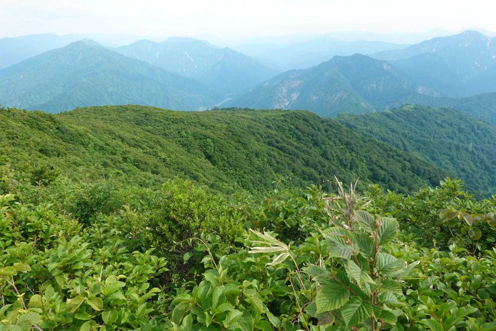 浅草岳六十里登山口-六十里越-マイクロ中継局-南岳 往復コースの写真