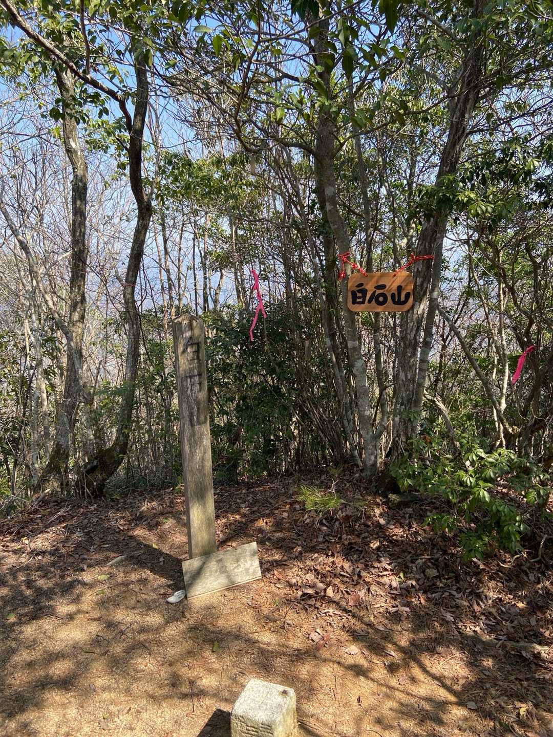山頂は展望無い様ですね