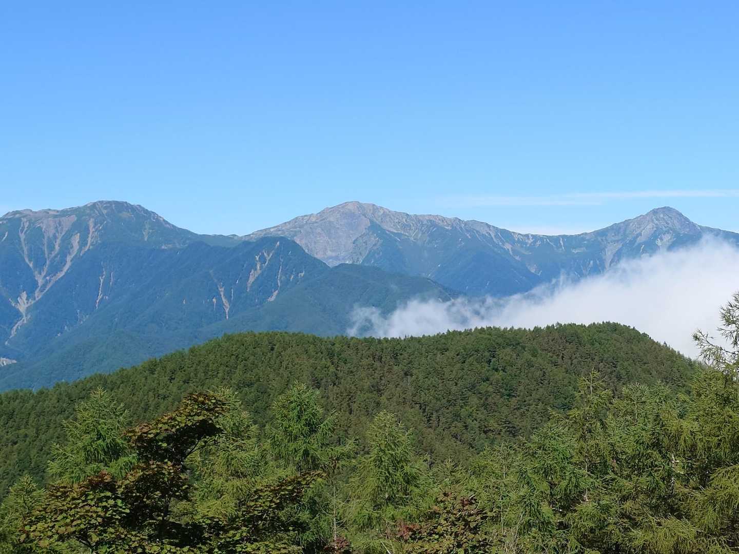 下山途中に南アルプス展望台に立ち寄ると遮るものなくくっきり見える。
これは白峰三山。