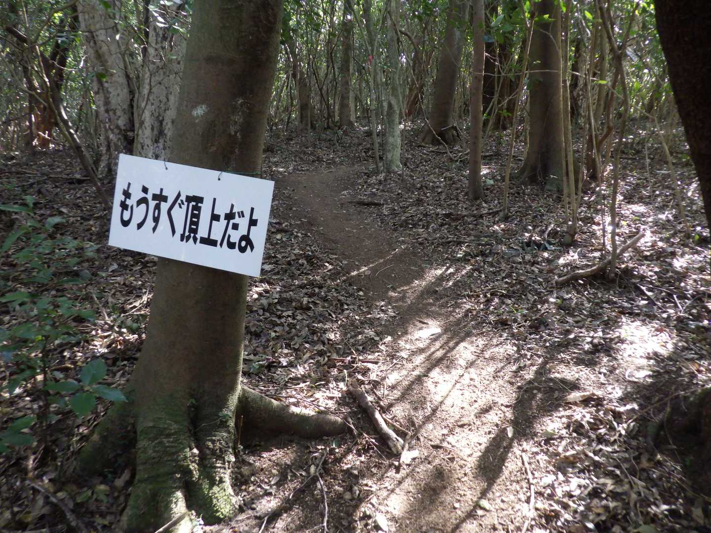 もう少し詐欺その３。
もう少しとか、もうすぐとか、嘘ばっかり！