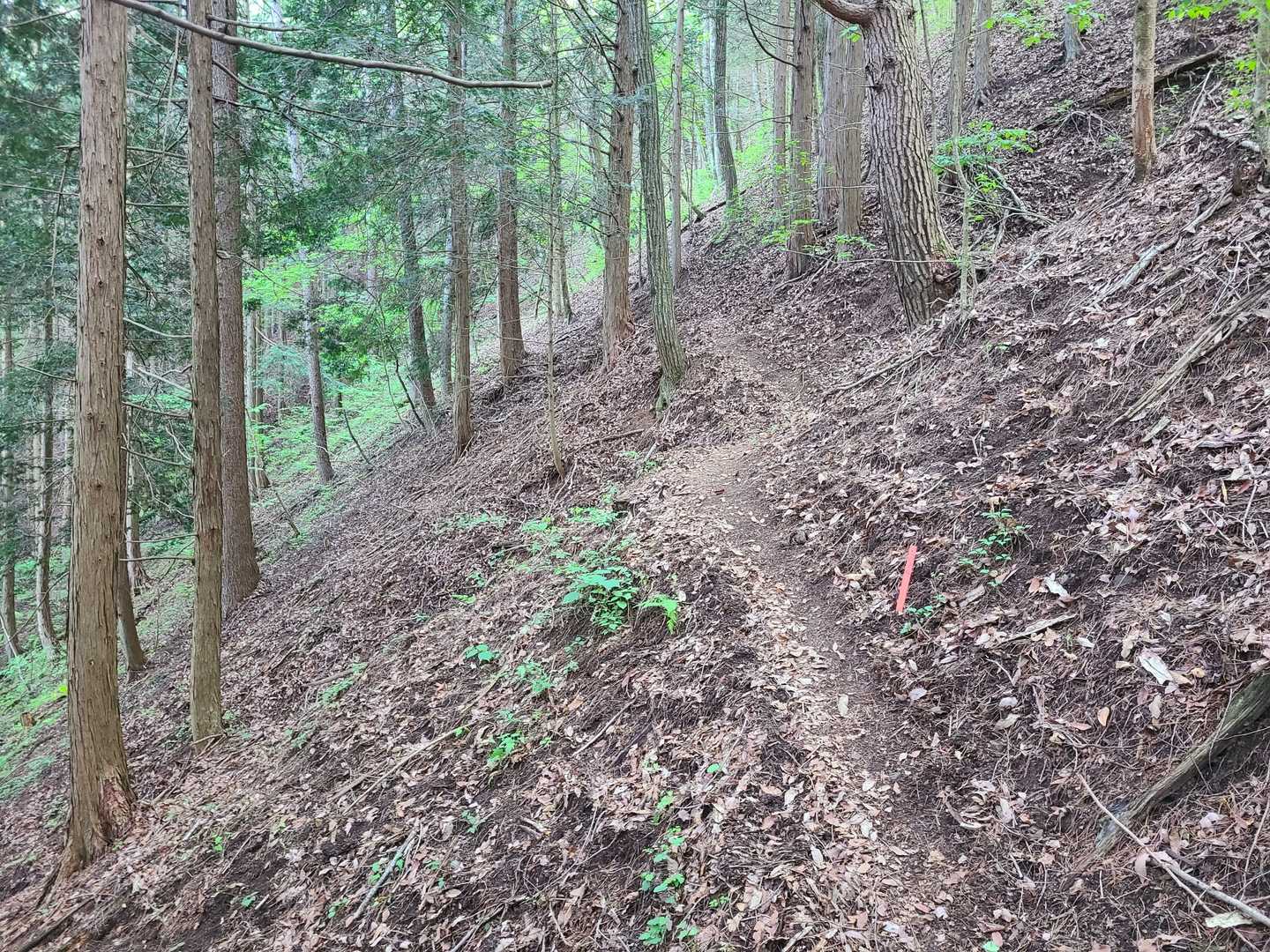細い路、歩きづらい😵。